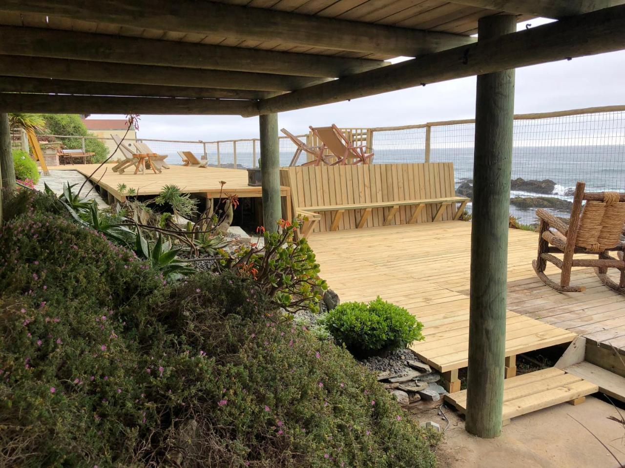 Delfin Pichilemu