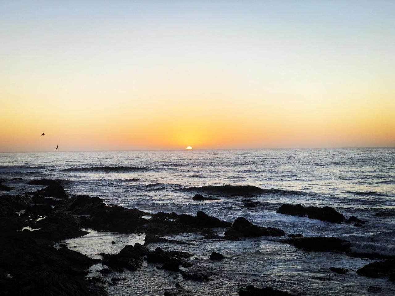 Delfin Pichilemu
